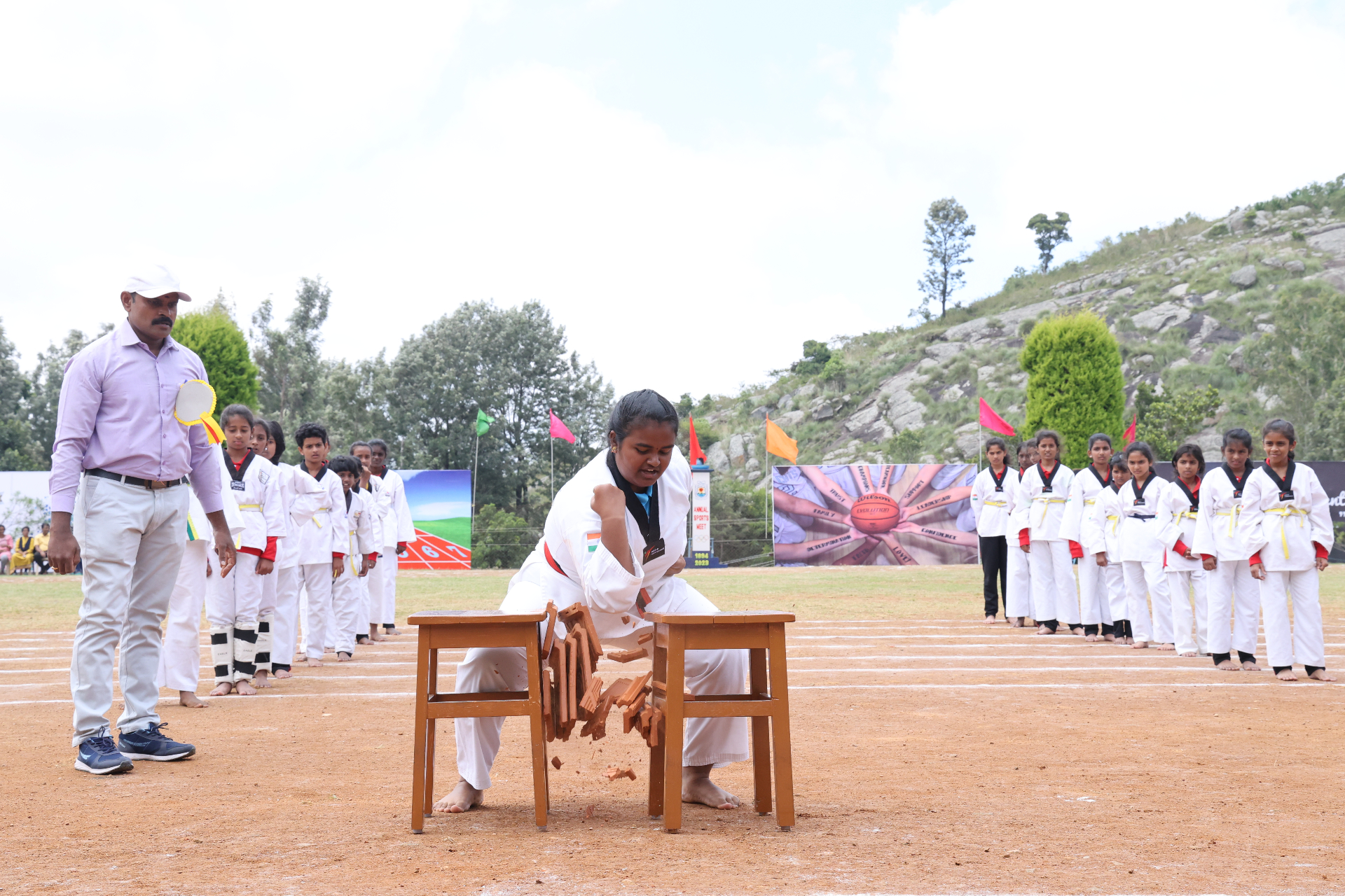 Martial arts demonstration showcasing physical fitness and discipline